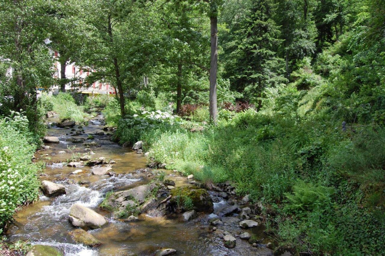 Notre-Dame D'Escouloubre Sources D'Eaux Chaudes Privees Et Sauna Ngoại thất bức ảnh
